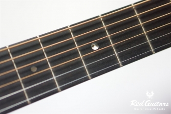 D-18 Standard